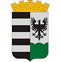 Wappen von Salgótarján