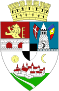 Wappen von Timişoara
