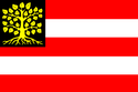 Flagge der Gemeinde ’s-Hertogenbosch