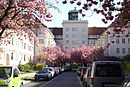 Torbogenblick April 2007.JPG