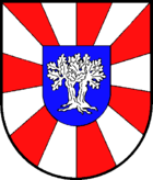 Wappen des Amtes Hohenwestedt-Land