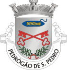 Wappen von Penamacor