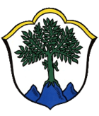 Wappen der Gemeinde Aschau i.Chiemgau