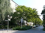 Dreysestraße