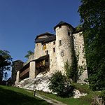 Burg Neu-Ems/Glopper