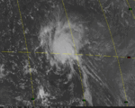 TD14-1995.gif