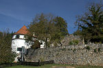 Burgruine Thalberg (Unterthal)