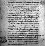 Ersterwähnung Doberlugs in der Handschrift von Thietmar von Merseburg: Chronicon Thietmari Merseburgensis. Dobraluh ist nachträglich weiß markiert.