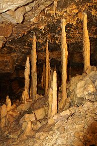 Kerzenstalagmiten in der Hinteren Kohlhaldehöhle