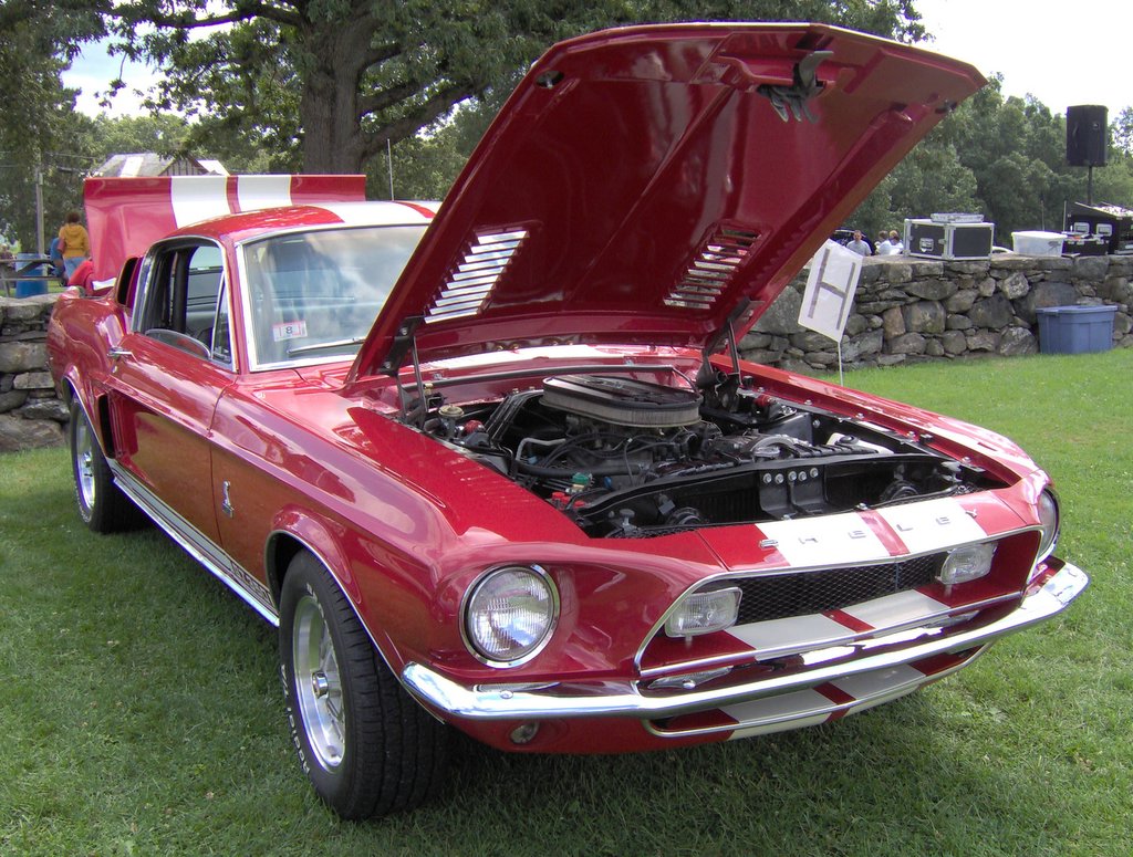 Ford Mustang Shelby gt350 1968