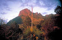 Big bend np.jpg