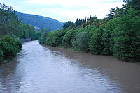 Hosta River.JPG