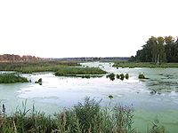 National Park Elk Island (Moscow region).jpg