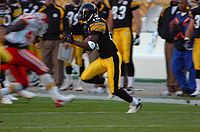 Santonio Holmes 2006.jpg