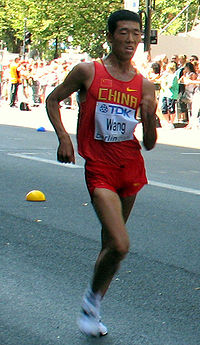 Wang bei den Weltmeisterschaften 2009