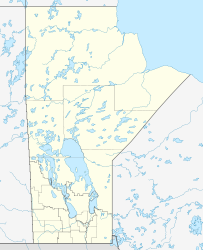 Lake of the Woods (Manitoba)