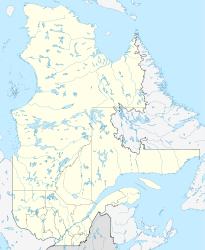 Île Bonaventure (Québec)