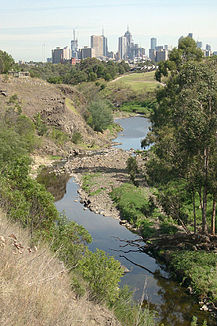 Merri Creek in Fairfield und Clifton Hill mit der Skyline von Melbourne im Hintergrund