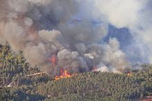 Mount Carmel forest fire14.jpg