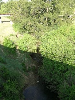 Avon River bei Stratford