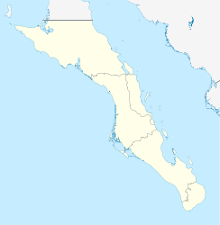 San Francisco (Baja California Sur)