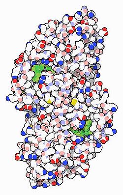 Alkoholdehydrogenase