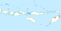 Komodo (Kleine Sunda-Inseln)