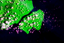 NASA-Satellitenbild (Geocover 2000)