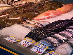 Frischfisch Frischfisch