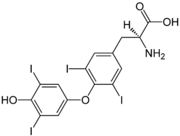 stereochemisch neutrale Darstellung von Thyroxin