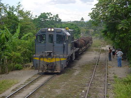 Güterzug in Sanarate