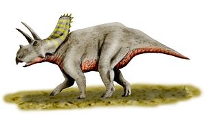 Lebendrekonstruktion von Arrhinoceratops