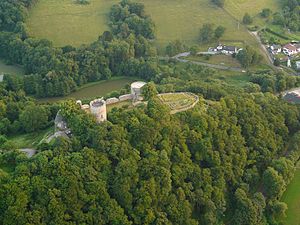 Luftbild der Burg Blankenberg