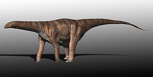Lebendrekonstruktion von Cetiosaurus oxoniensis aus dem Oberjura von Großbritannien