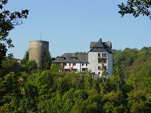 Burg Cleeberg vom gegenüberliegenden Hügel Cleebaum