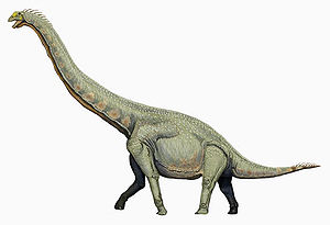 Lebendrekonstruktion des ursprünglichen Titanosauriformen Euhelopus
