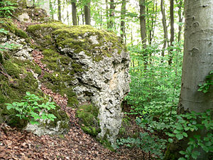 Fundamentreste am Steilabhang