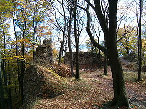 Mauerreste der Burg Kyšperk.