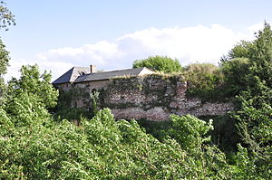 Ruine der Burg, Nordseite 2010