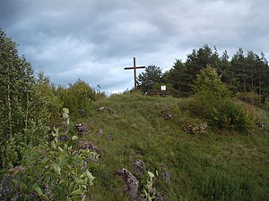 Burgstall Martinsberg – Ansicht des Burgberges mit dem Gipfelkreuz