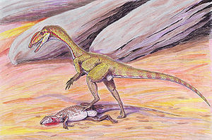 Megapnosaurus kayentakatae