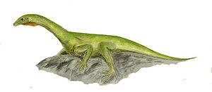 Protorosaurus 