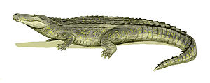 Zeichnerische Lebendrekonstruktion von Purussaurus brasiliensis