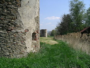erhaltene Reste der Burg Raipoltenbach im Jahr 2004