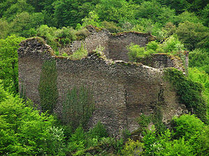 Die letzten Reste der Burg