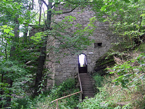 Die Ruine des Schlosses