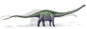 Lebendrekonstruktion von Supersaurus vivianae