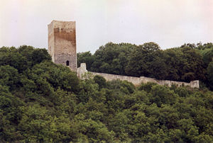 Die Burg vom Ort aus gesehen (2005)