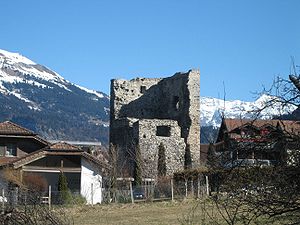 Ruine der Burg Friedau