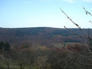 Der Gipfel des Heidkopfes vom Nachbarberg über den Teufelsgrund, von Südosten gesehen